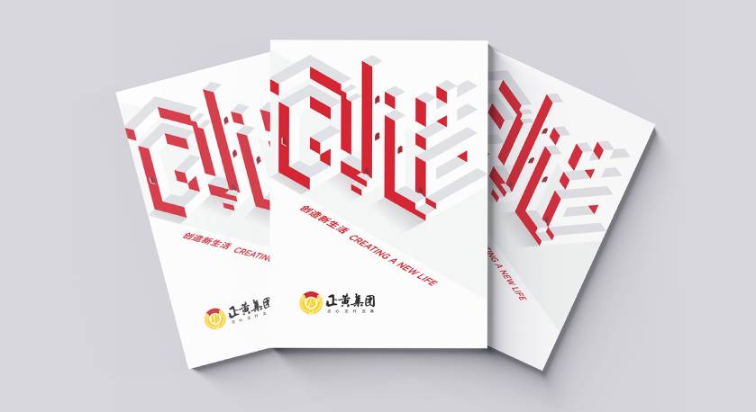 拉萨宣传册设计：以精准触达，奏响城市发展的时代旋律